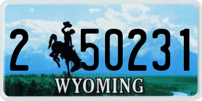 WY license plate 250231