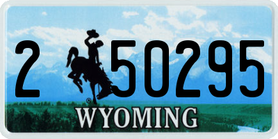 WY license plate 250295