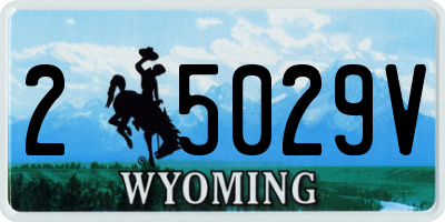 WY license plate 25029V