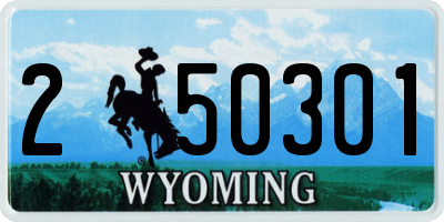 WY license plate 250301
