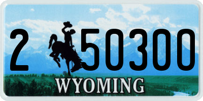 WY license plate 25030O