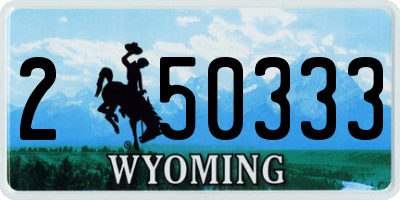 WY license plate 250333