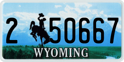 WY license plate 250667