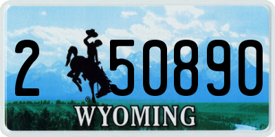 WY license plate 250890