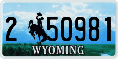 WY license plate 250981