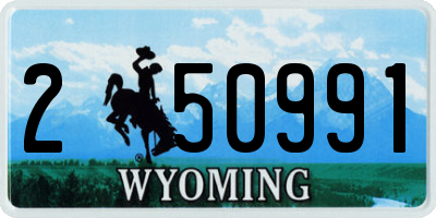WY license plate 250991