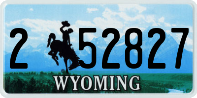 WY license plate 252827