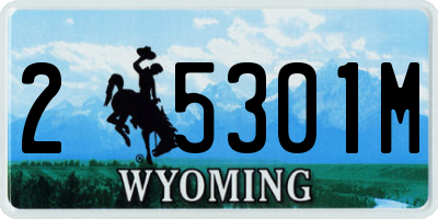 WY license plate 25301M