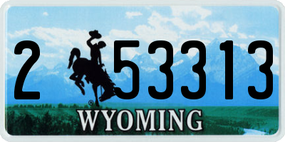 WY license plate 253313