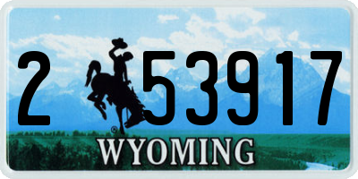 WY license plate 253917