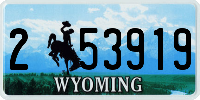 WY license plate 253919
