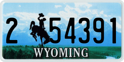 WY license plate 254391