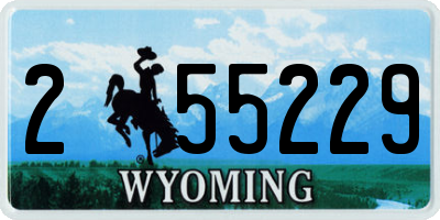 WY license plate 255229