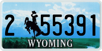 WY license plate 255391