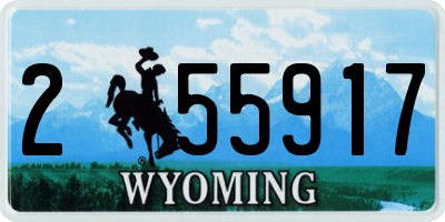 WY license plate 255917