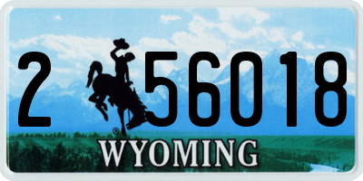 WY license plate 256018
