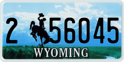 WY license plate 256045