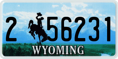 WY license plate 256231