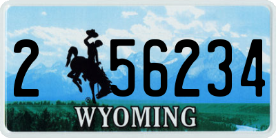 WY license plate 256234