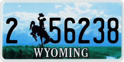 WY license plate 256238
