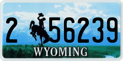 WY license plate 256239