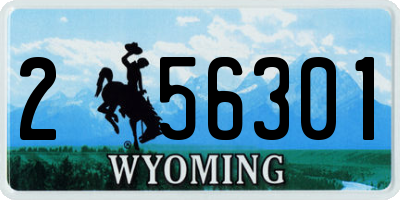 WY license plate 256301