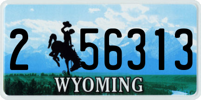 WY license plate 256313