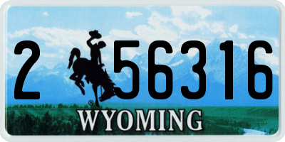 WY license plate 256316
