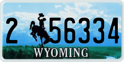 WY license plate 256334