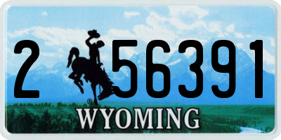 WY license plate 256391