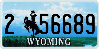 WY license plate 256689