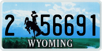 WY license plate 256691