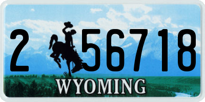 WY license plate 256718