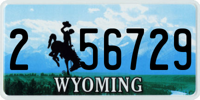 WY license plate 256729