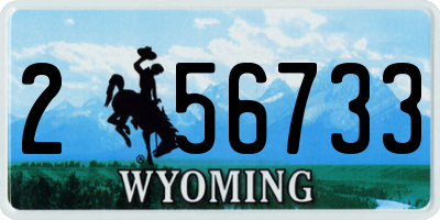 WY license plate 256733