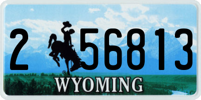 WY license plate 256813