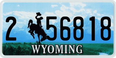 WY license plate 256818
