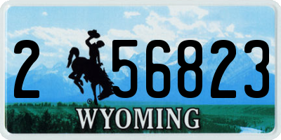 WY license plate 256823
