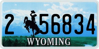 WY license plate 256834
