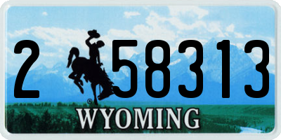 WY license plate 258313