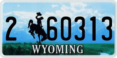 WY license plate 260313