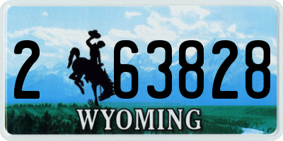 WY license plate 263828
