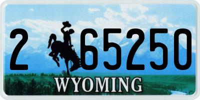 WY license plate 265250