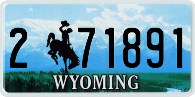 WY license plate 271891