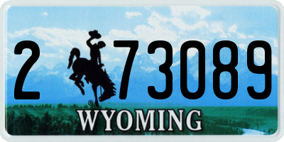 WY license plate 273089
