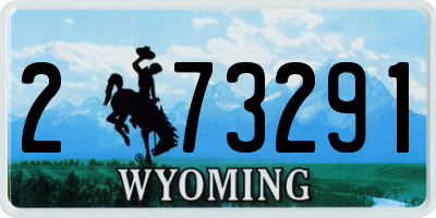 WY license plate 273291