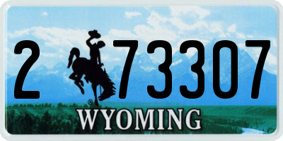 WY license plate 273307