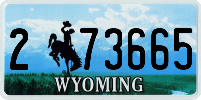 WY license plate 273665