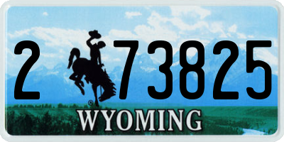 WY license plate 273825
