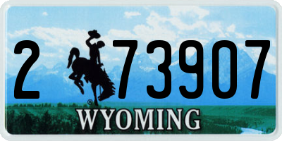 WY license plate 273907